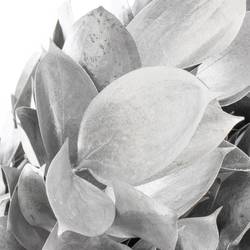 Ruskus silber gefärbt 60cm