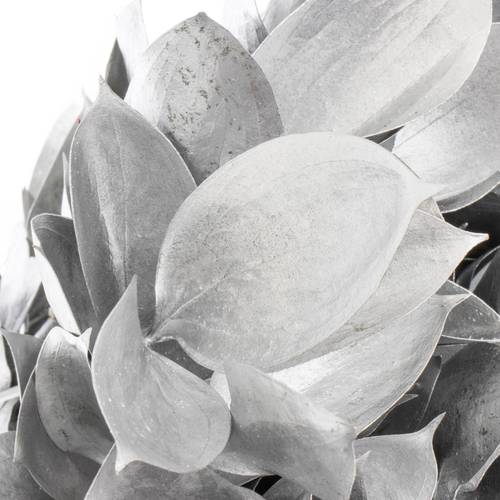 Ruskus silber gefärbt 60cm