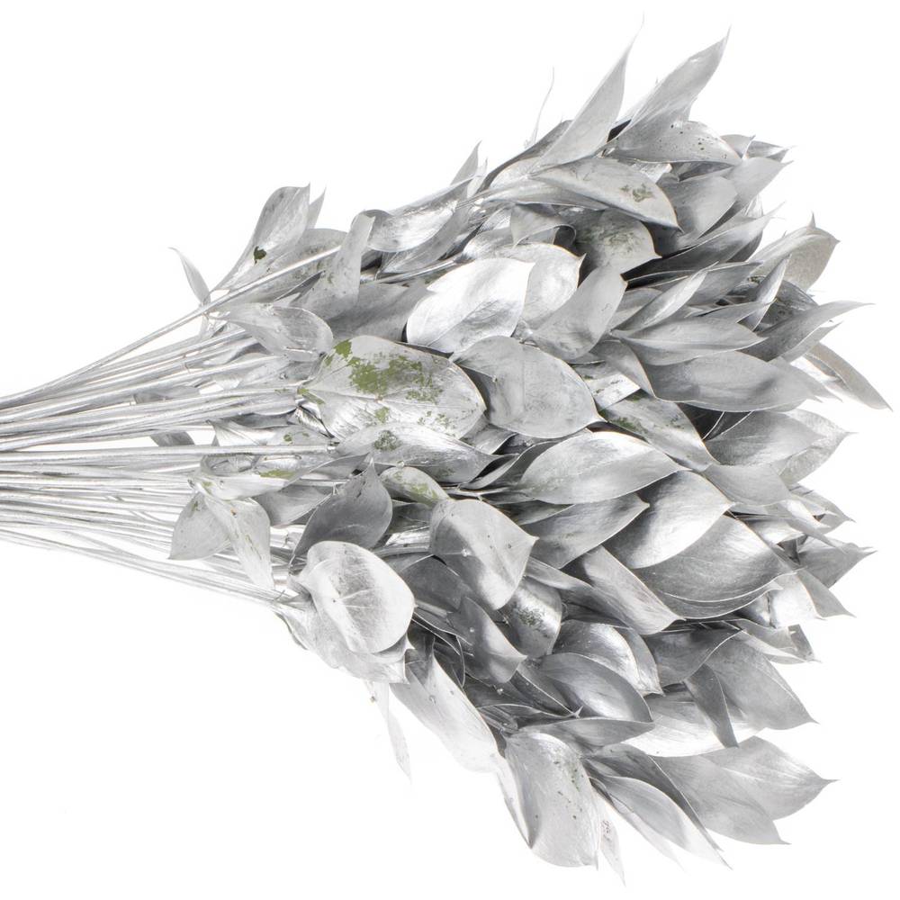 Ruskus silber gefärbt 60cm