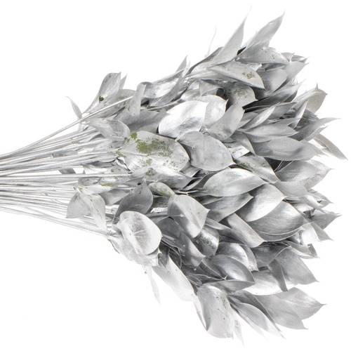 Ruskus silber gefärbt 60cm