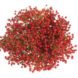 Hagebutte rot Autumn Flush 50cm 