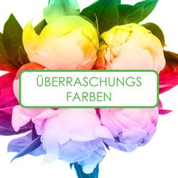 Pfingstrose 3x5 Farbe 50cm