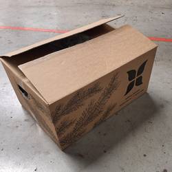 Tanne Nobilis W.Band 8kg Spitze für Gestecke Sack