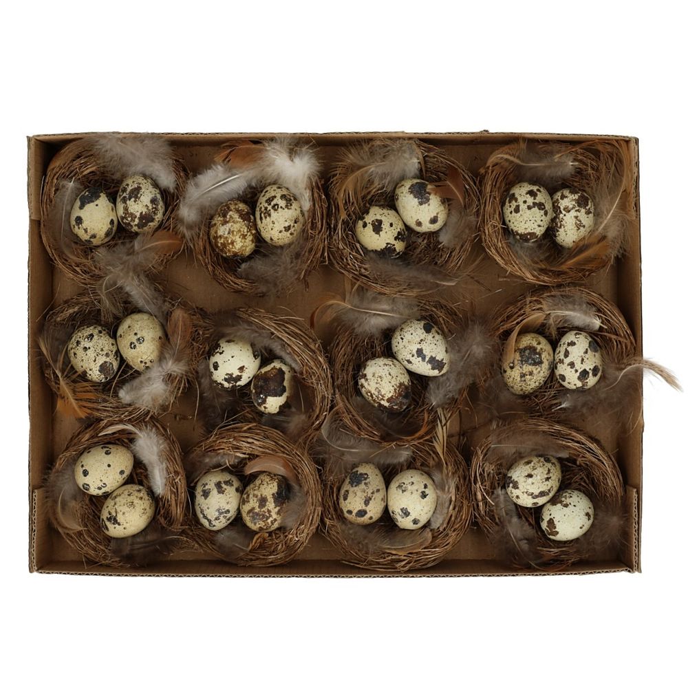 Wachtelei im Nest natur D07cm x12