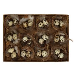 Wachtelei im Nest natur D07cm x12