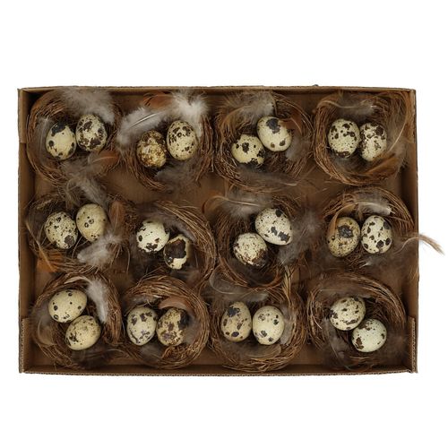Wachtelei im Nest natur D07cm x12