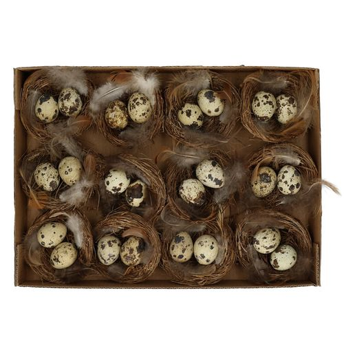 Wachtelei im Nest natur D07cm x12