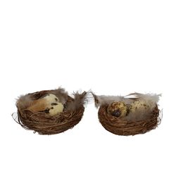 Wachtelei im Nest natur D07cm x12