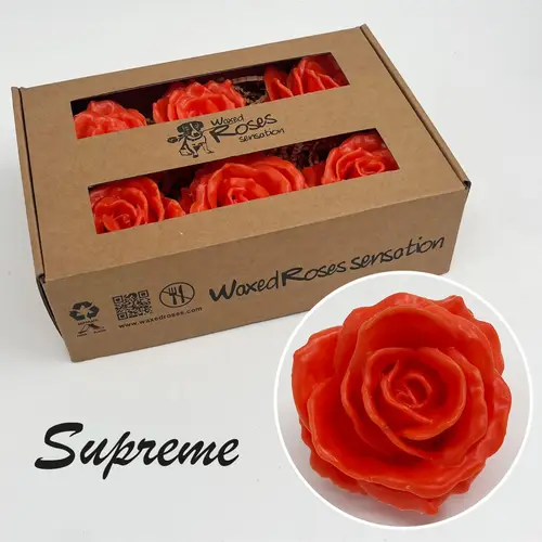 Seiden Wachs Rose Supreme rot