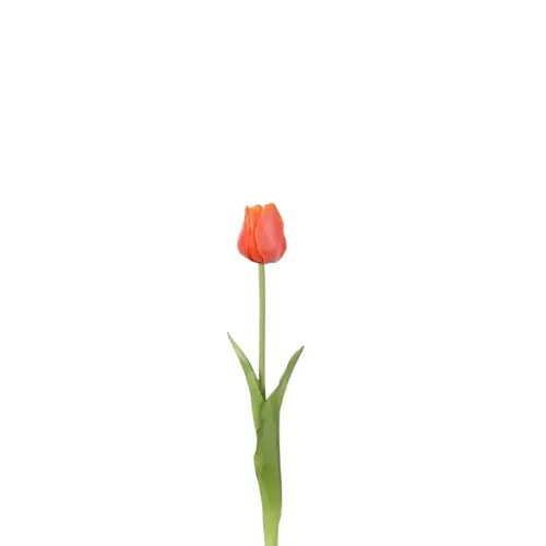 Seiden Tulpe rot L46cm