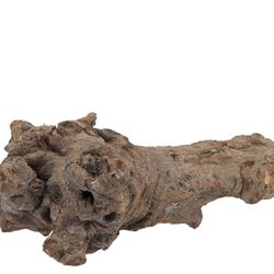 Trocken Zweig Kuwa Holz Stumf grau L25-30cm