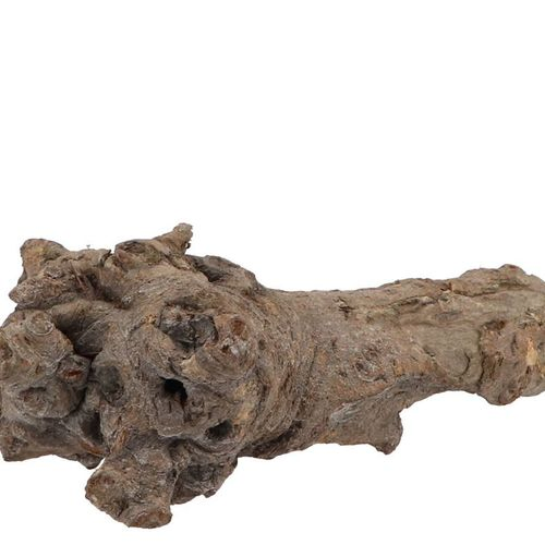 Trocken Zweig Kuwa Holz Stumf grau L25-30cm