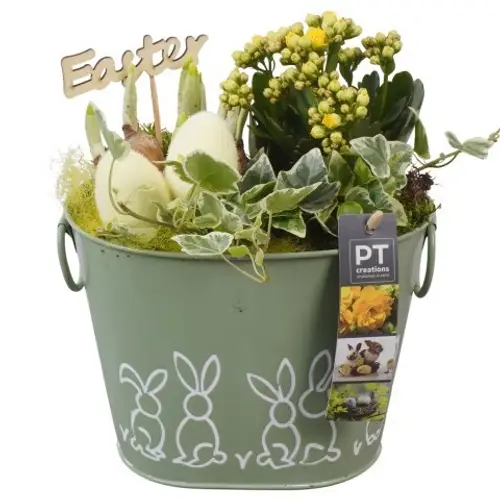 Kal.Arr PTPB6456 Ostern T17 H026
