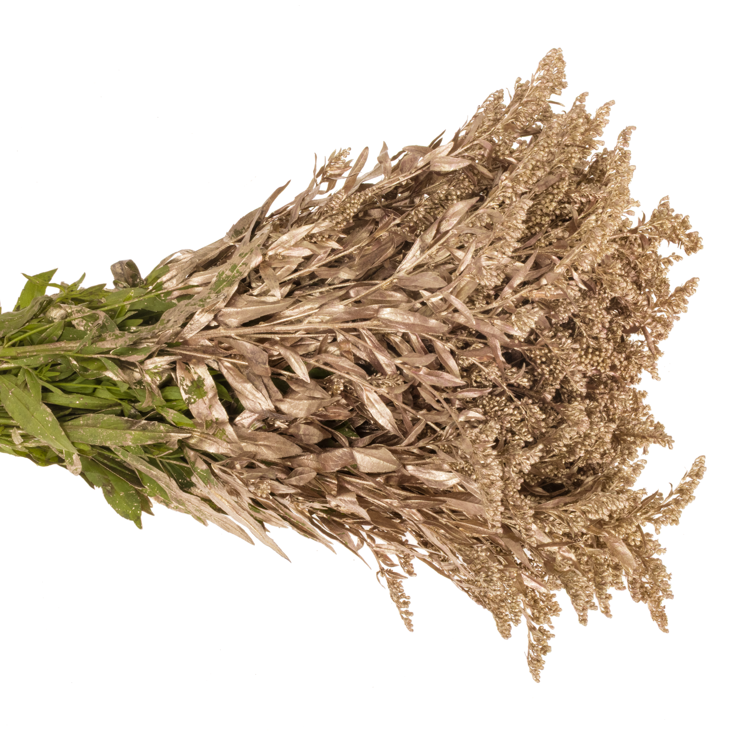 Solidago rosegold gefärbt 70cm 30 Gramm