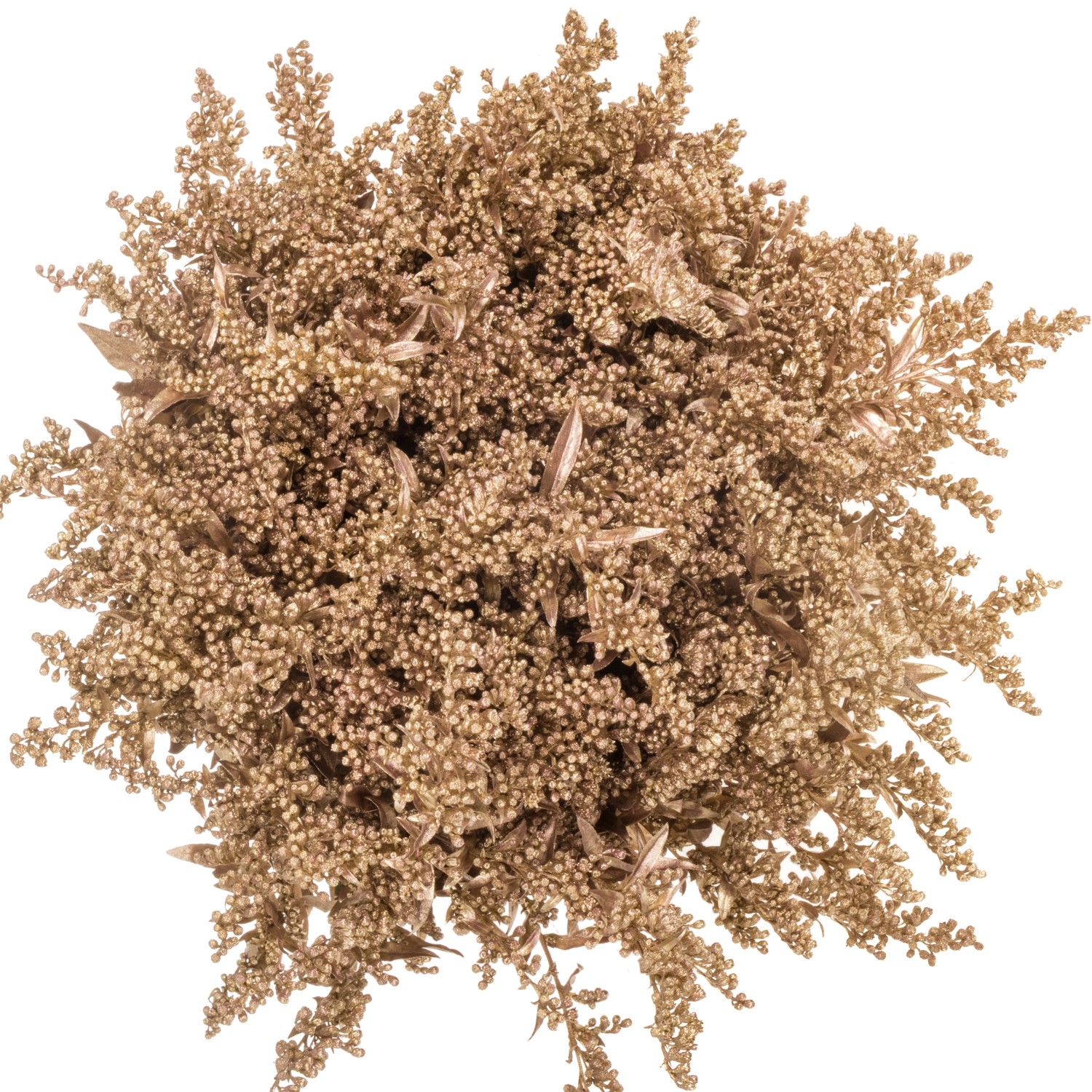Solidago rosegold gefärbt 70cm 30 Gramm