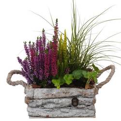 Garten.Arr PTHO7670 Herbst T20 H038