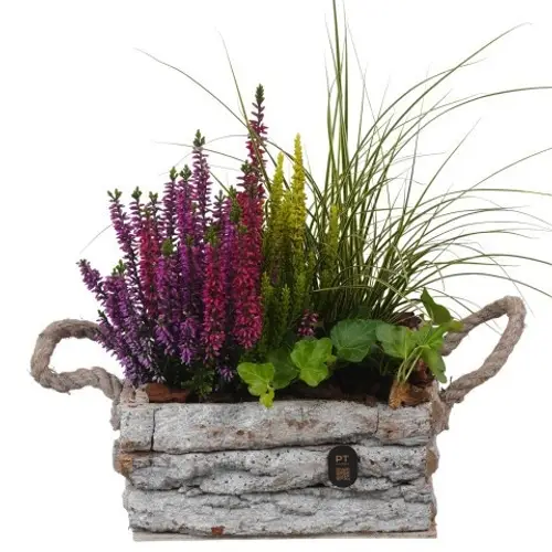 Garten.Arr PTHO7670 Herbst T20 H038