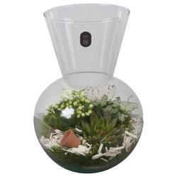 Kal.Arr PTIG2631 T21 H030