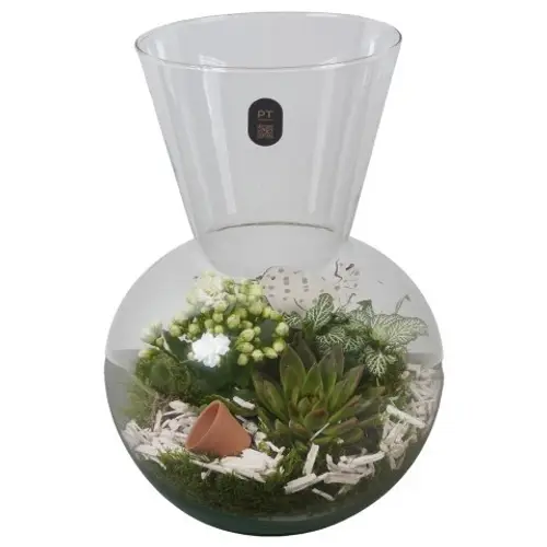 Kal.Arr PTIG2631 T21 H030