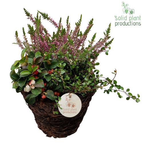 Garten.Arr SBS002 Small Herbst T20 H030