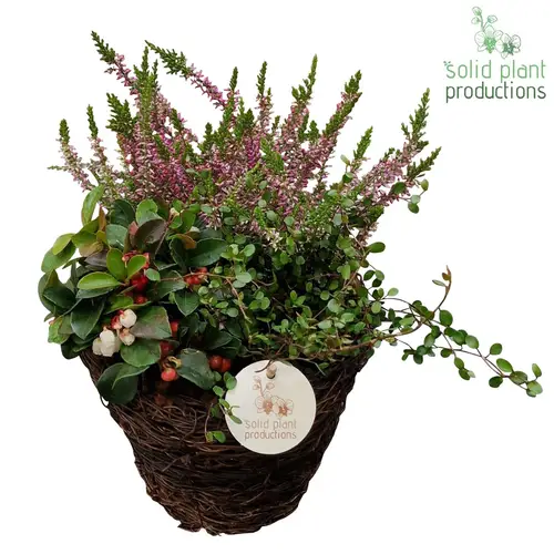 Garten.Arr SBS002 Small Herbst T20 H030