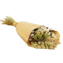 Trockenblumen Strauss Field creme L50cm 