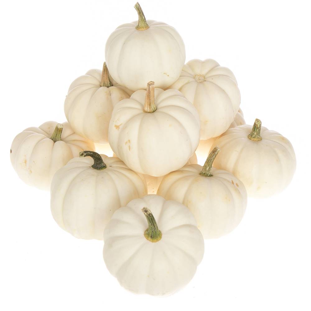 Zierk.Weiss Casperita Bol 9cm