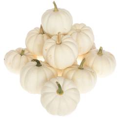Zierk.Weiss Casperita Bol 9cm