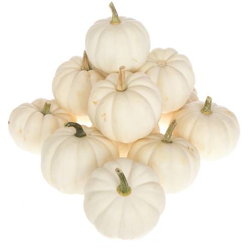 Zierk.Weiss Casperita Bol 9cm