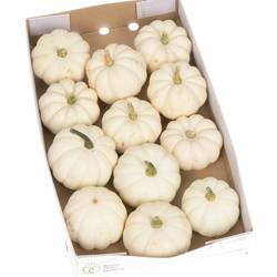 Zierk.Weiss Casperita Bol 9cm