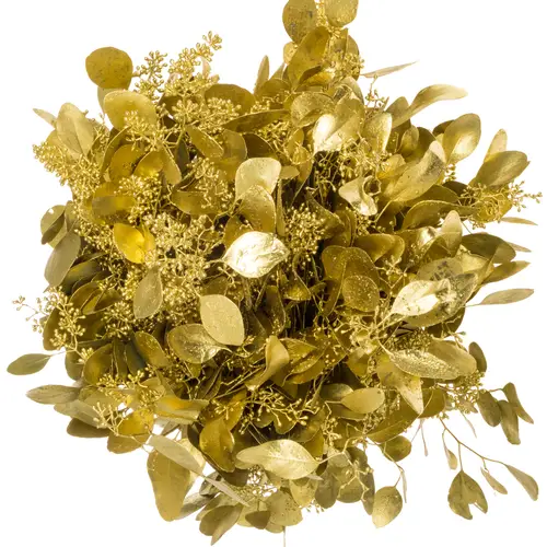 Populus gold Frucht gefärbt 300 Gramm 65cm