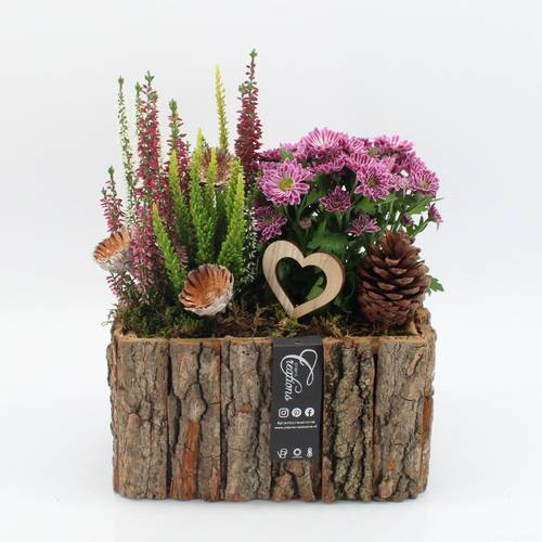 Garten.Arr-2502 Allerheiligen T26 H035