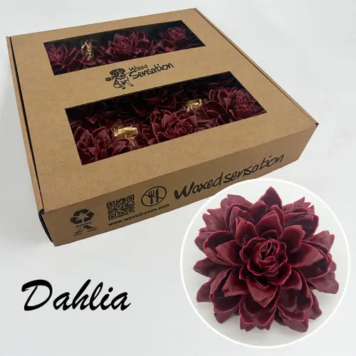 Seiden Wachs Dahlia weinrot