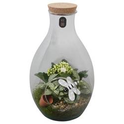 Flor.Arr PTIG2652 T18 H035