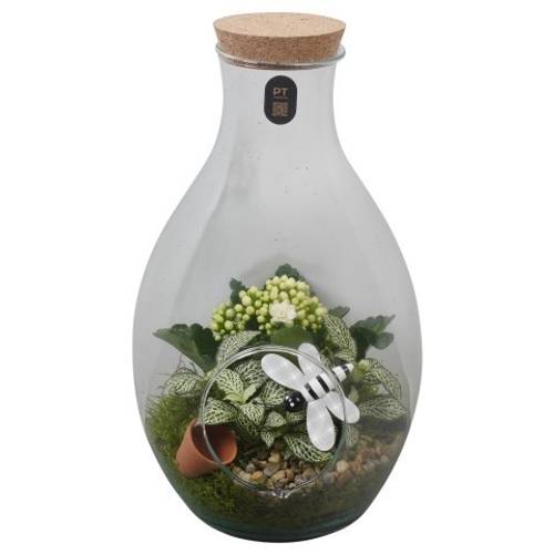 Flor.Arr PTIG2652 T18 H035