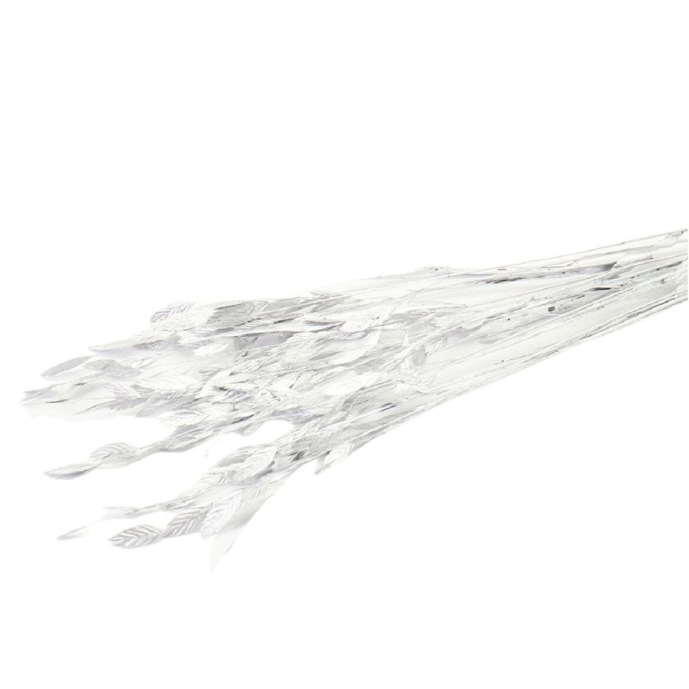 Trocken Chasmanthium Silber L80cm x10