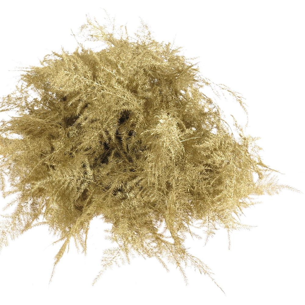 Plumoses gold gefärbt 40cm