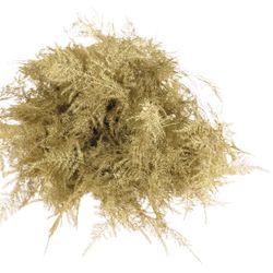 Plumoses gold gefärbt 40cm