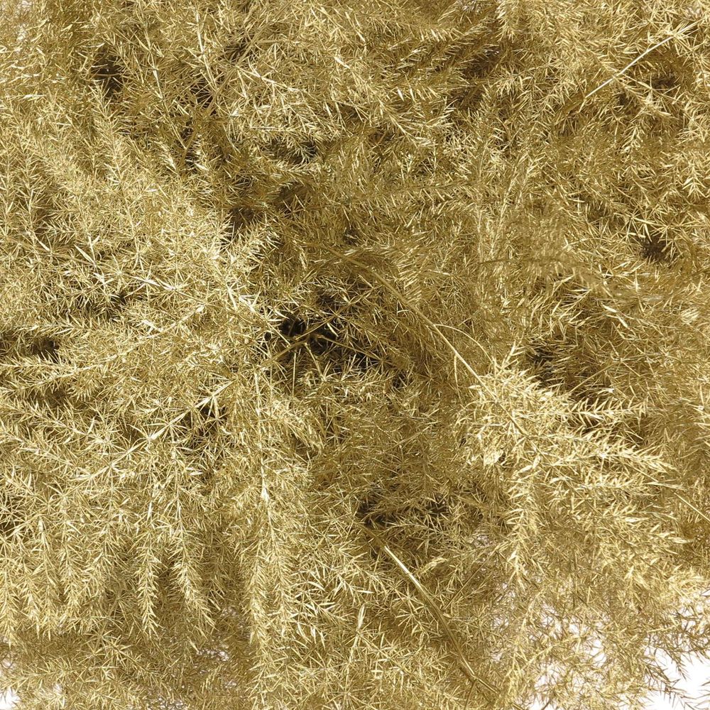 Plumoses gold gefärbt 40cm