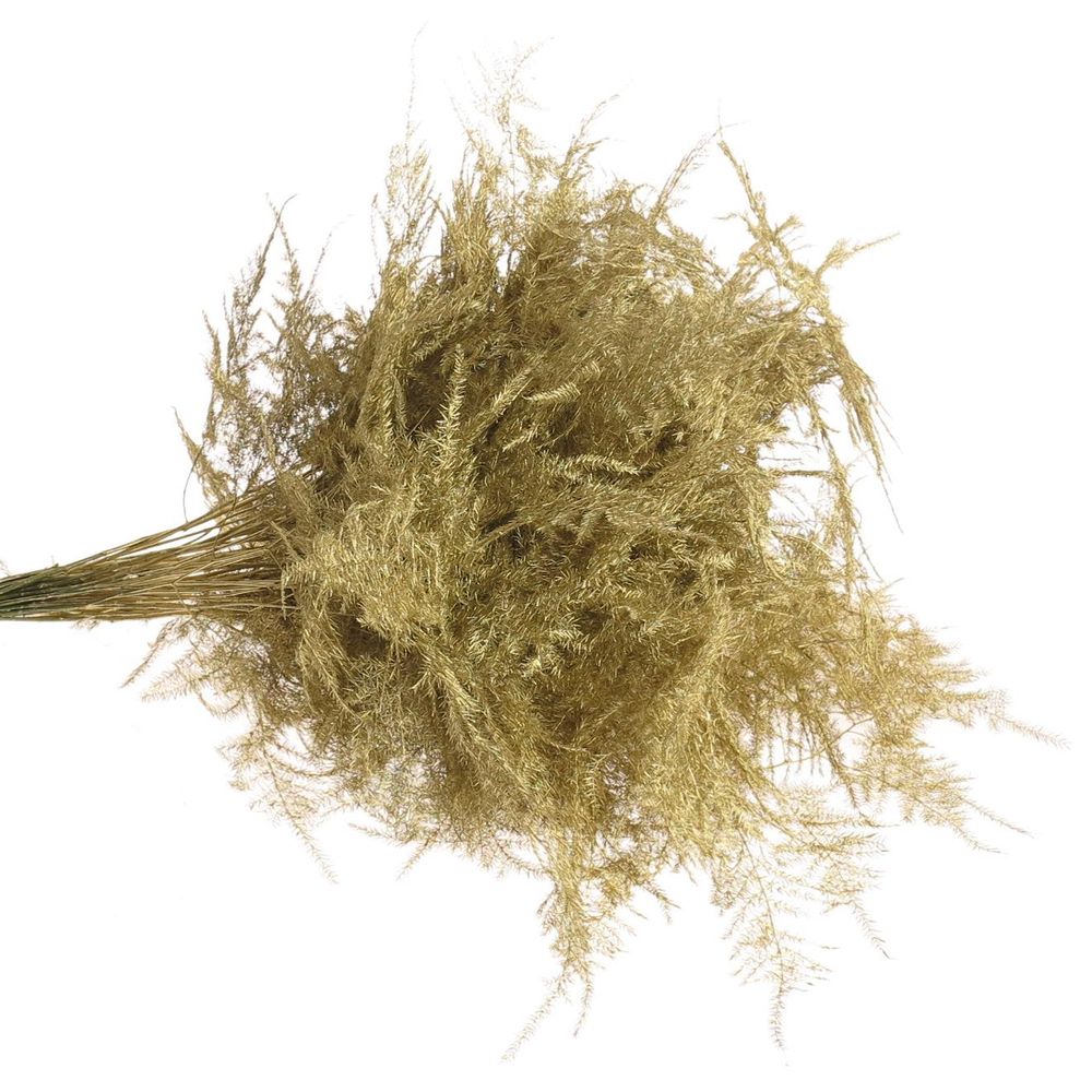 Plumoses gold gefärbt 40cm