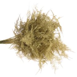 Plumoses gold gefärbt 40cm