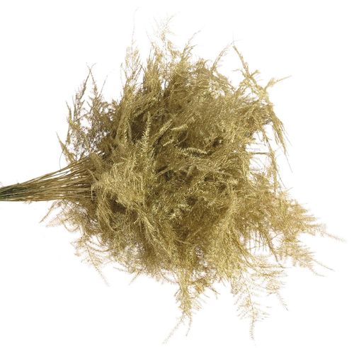 Plumoses gold gefärbt 40cm