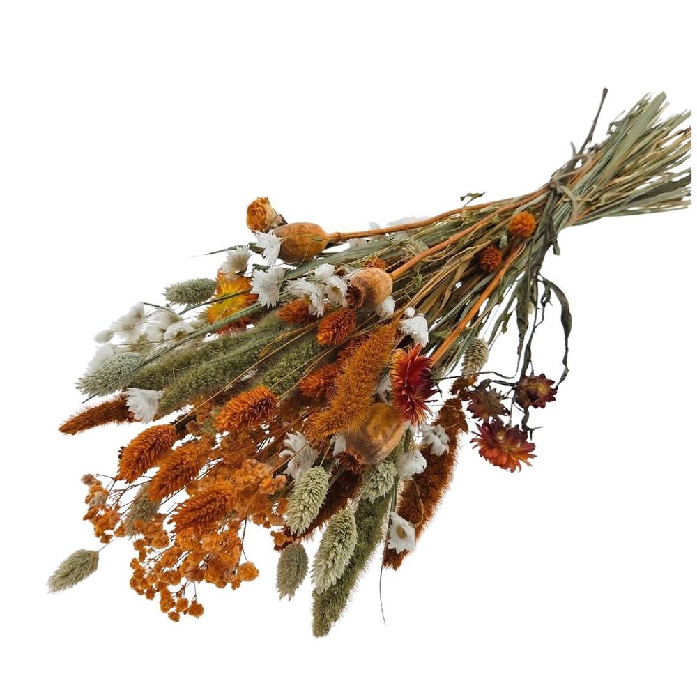 Trockenblumen Strauss orange L55cm 
