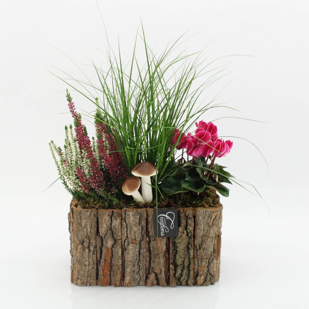 Garten.Arr-2516 Herbst T26 H040