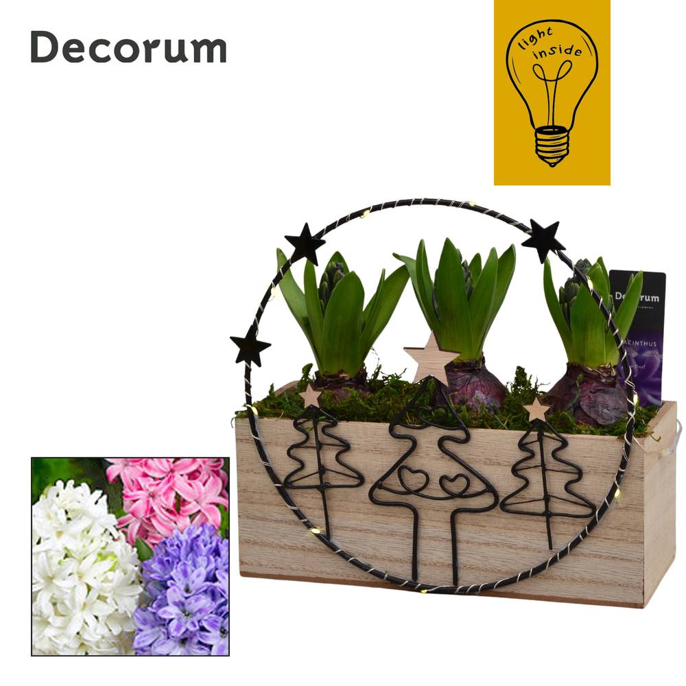 Hyac.Arr HL45312 Weihnachten T21 H020