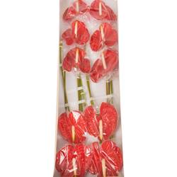 Anthurium rot Butterfly Blüte 15cm
