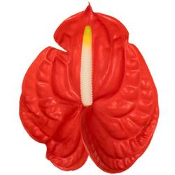 Anthurium rot Butterfly Blüte 15cm