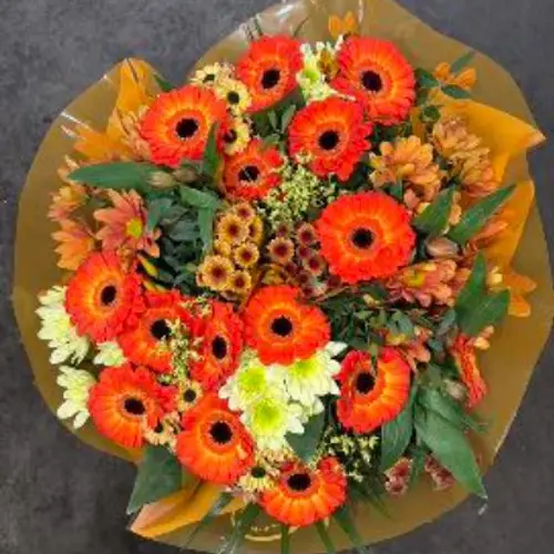 Strauß orange mix Germini 18 Stiele 45cm