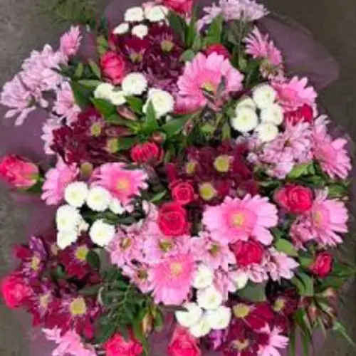 Strauß Raven rosa 50cm 12 Stiele