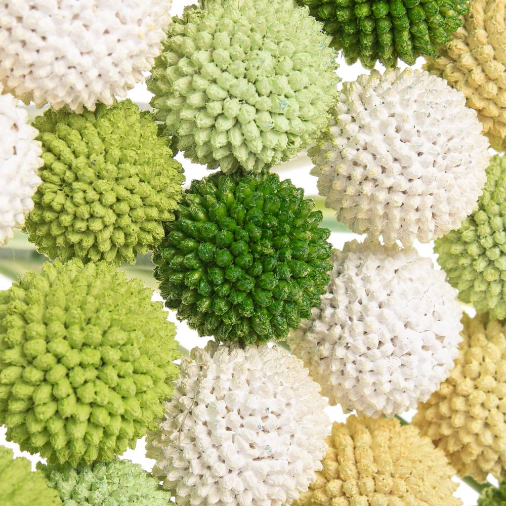 Craspedia mix grün gefärbt 70cm
